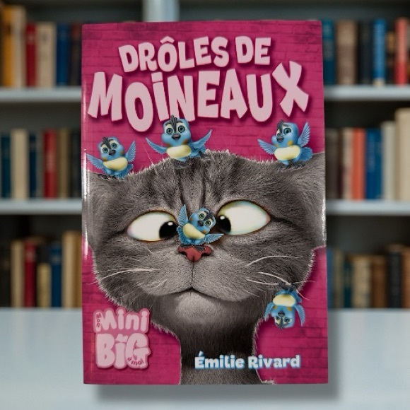 Mini Big Other - 📚 Drôles de moineaux – Émilie Rivard